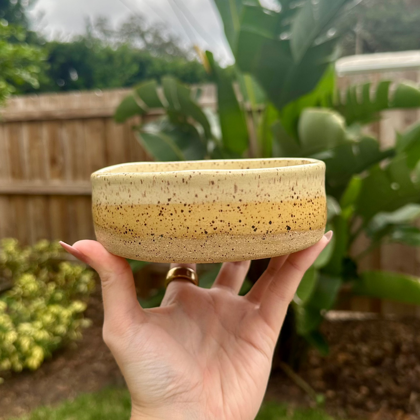 Yellow Dog Dish / Bowl